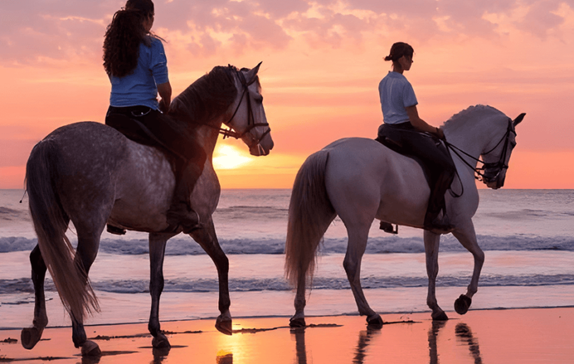 Horse Riding Adventure – Explore Agadir’s Scenic Trails on Horseback